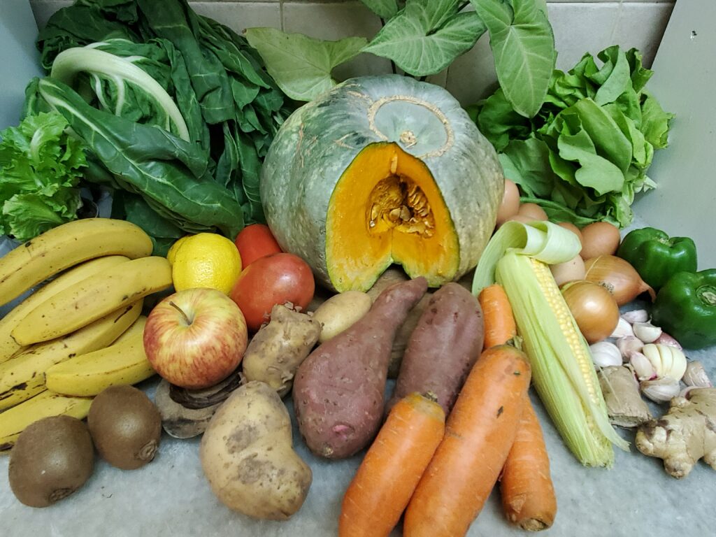 amanda melendez vyanoagqyza unsplash