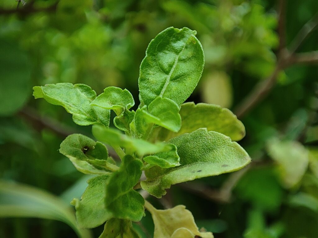 het suthar otgtgkdxbie unsplash