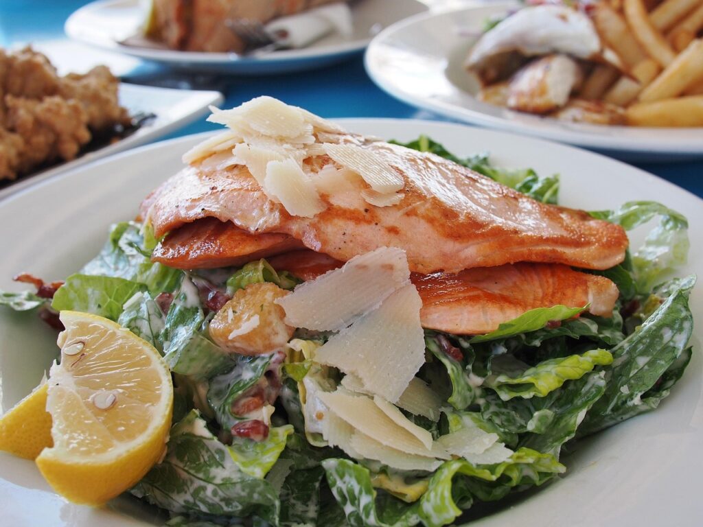 cattalin salmon 522483 1280